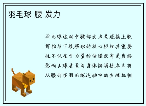 羽毛球 腰 发力