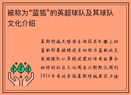 被称为“蓝狐”的英超球队及其球队文化介绍