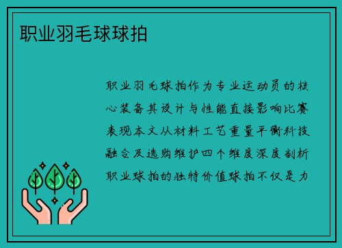 职业羽毛球球拍